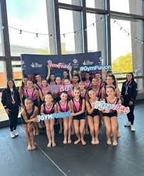 Image result for Aylesbury Gymnastics Club
