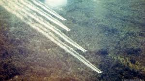 Image result for агент оранж