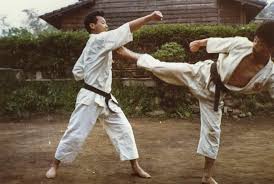 Image result for Twyford Higashi Karate Club