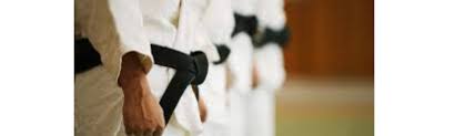 Image result for British Jujitsu Ryu