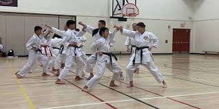 Image result for Shotokan Karate Union
