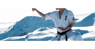 Image result for Kyokushin Karate
