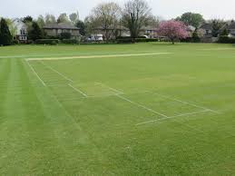 Image result for Addington Village Cricket Club