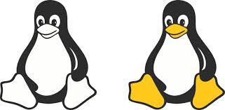 Image result for linux tux