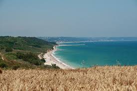 Image result for Cupello