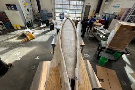 Image result for University Of Hull Canoe Club