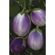 Afbeeldingsresultaat voor rosa bianca eggplant