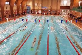 Image result for Stevenage Swimming Club