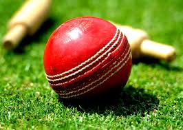 Image result for Welby Cricket Club