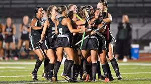 Image result for York University Street Hockey Club