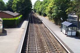 Image result for Barnt green