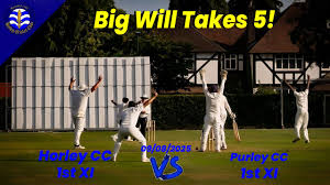 Image result for Purley Cricket Club