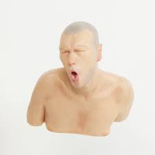 Image result for Richard Stipl