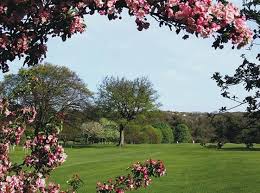 Image result for Castle Eden Golf Club