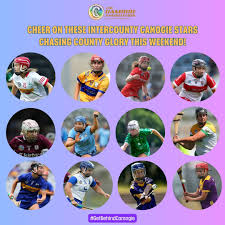 Image result for St Rita`s Camogie Club