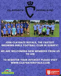 Image result for Claygate Royals Football Club