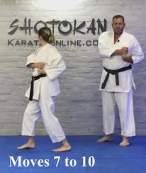 Image result for HEIWA SHOTOKAN KARATE CLUB