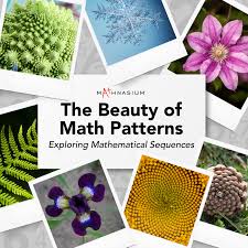 Image result for patterns