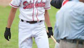 Image result for Sidewinders Baseball Club
