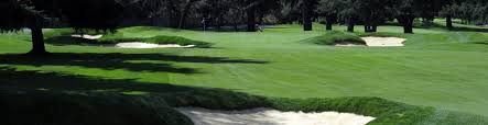 Image result for Brookdale Golf Club