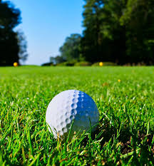 Image result for Wrekin Golf Club