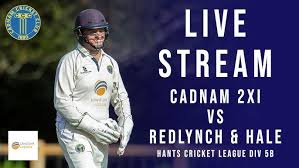 Image result for Redlynch and Hale Cricket Club