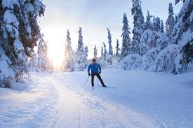 Image result for Scandinavian slope and cross country skiing