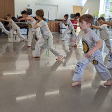Image result for Cobra Capoeira Kids Club