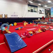 Image result for Arabian School Of Gymnastics