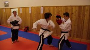 Image result for Stockport Shotokan Karate Club