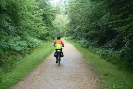 Image result for Epping Forest Mountain Bike Club
