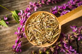 Image result for Ysop