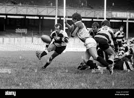Image result for Cardiff Harlequins
