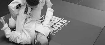Image result for Bully Me Now Mixed Martial Arts