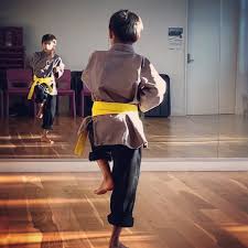 Image result for Shaolin Nam Pai Chuan Kung Fu - Manchester Martial Arts Centre
