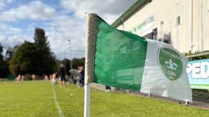 Image result for Sarsfield Gfc