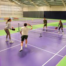 Image result for David Lloyd Senior Badminton Club