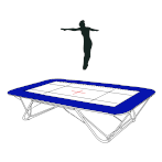 Image result for Abbey Flyers Trampoline Club