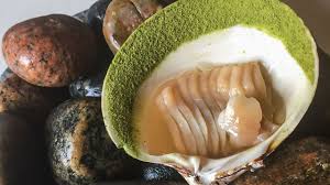 Image result for noma mad