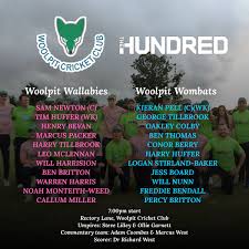 Image result for Woolpit Cricket Club