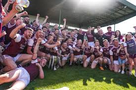 Image result for Causeway Hurling Club