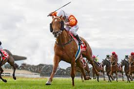 Image result for Sandown Sports Club