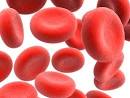 <b>Anemia</b> in EB is caused by many