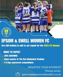 Image result for Epsom & Ewell Football Club