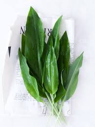 Image result for Bärlauch