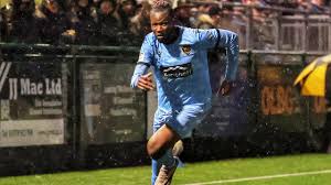 Image result for Dorking Football Club Limited