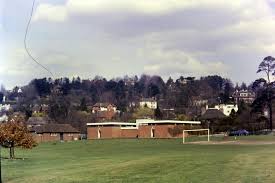 Image result for Shalford F C