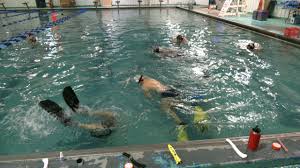 Image result for Plymouth Underwater Hockey Club