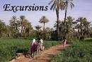 Excursions in Ferkla oasis, Todra Gorges and Merzouga dunes.