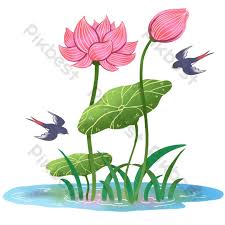 「シア・ハス」の画像検索結果